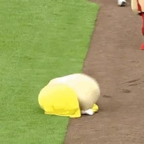 10. Все рассказы родителей о вашем детстве заканчиваются приблизительно так: «И тут ты как шлепнешься!»