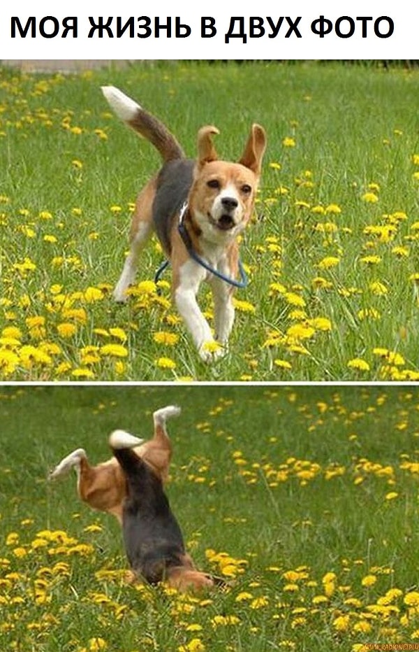 2. Вы так часто спотыкаетесь и падаете на публике, что уже почти перестали испытывать неловкость. Почти…