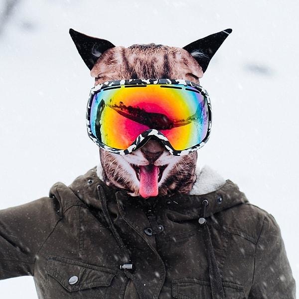 5. Kedi suratı şeklinde bir kar maskesi, mükemmel!
