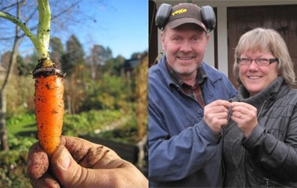 3. Все, что потеряно, однажды вернется назад. По крайней мере, так случилось с кольцом одной женщины из Швеции.