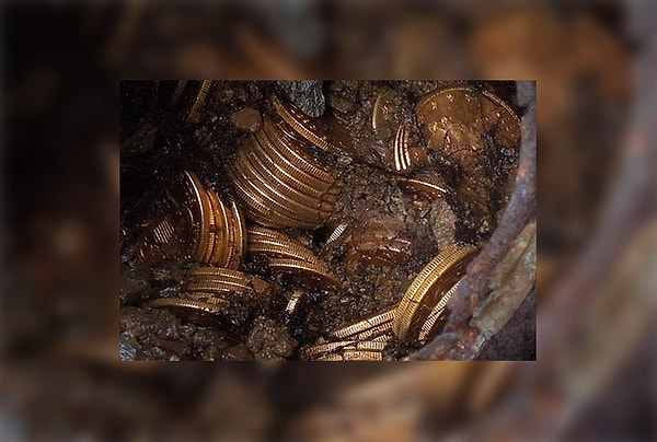 6. Пара из Калифорнии случайно наткнулась на сокровища, которые сделали их богатыми.