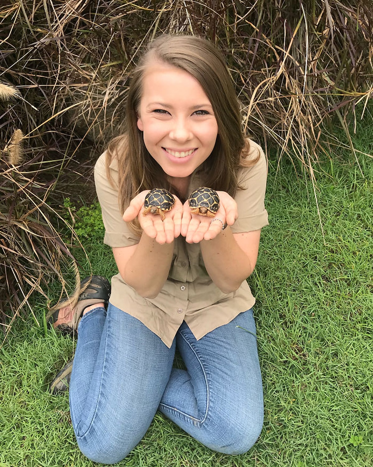 Bindi Irwin Porn