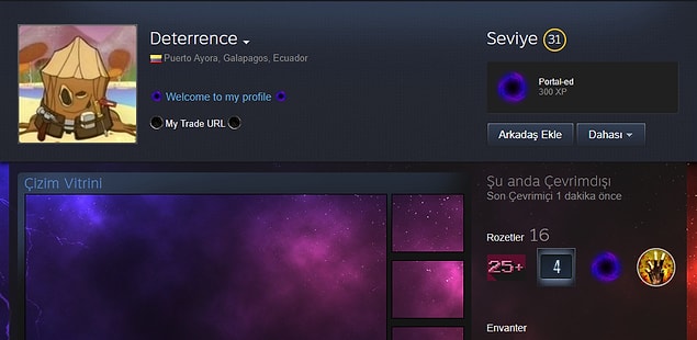 Deterrence / 46,256$