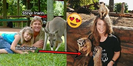 Steve Irwin'in Mirasını Yaşatmakta Kararlı, En Az Onun Kadar Cesur ve Hayvansever Kızı: Bindi Irwin
