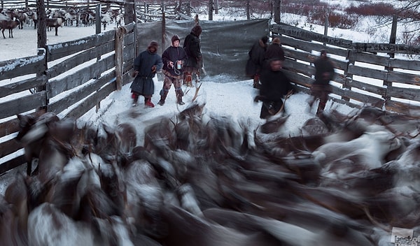 5. "Вакцинация"