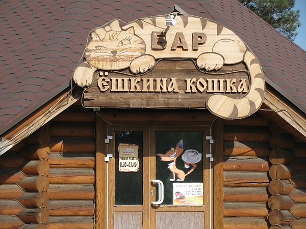 17. Жена "ёшкиного кота".