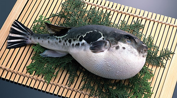 1. Рыба фугу