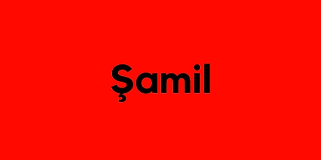 Şamil!