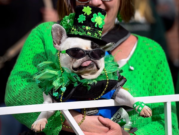 3. Март - верность