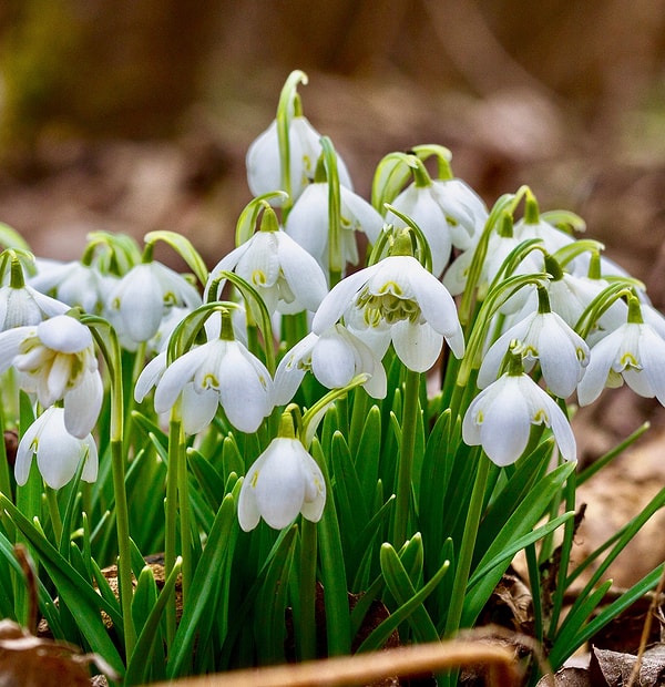 4. Апрель - обязательства