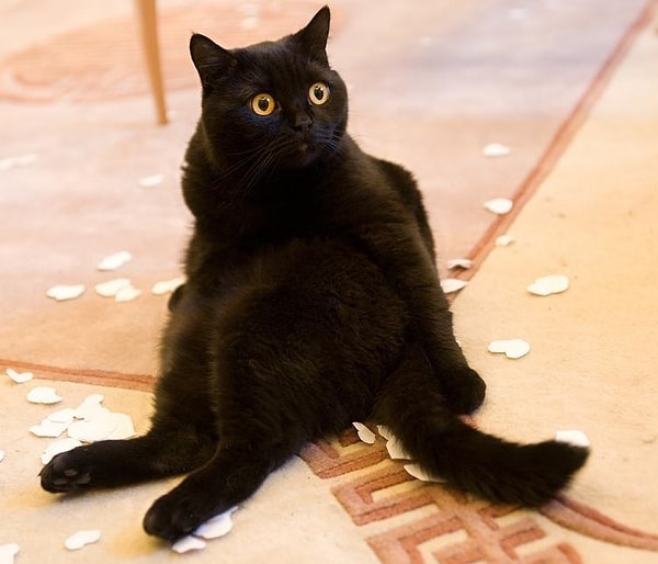 5. Выберите правильное написание: