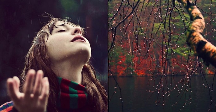 Если вы досмотрите эти 18 вещей до конца, то вы настоящий плювофил