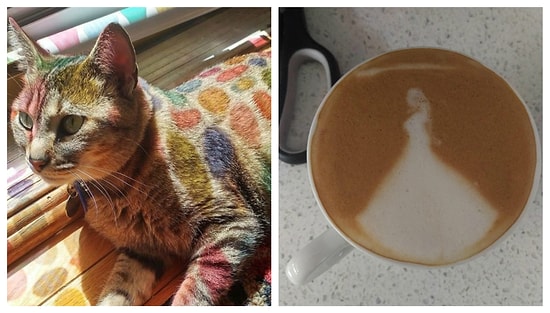 Когда природа и случай - лучшие художники: поразительные фото с "нечаянным" искусством