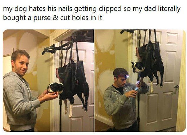1. "Köpeğimiz tırnaklarını kestirmiyor diye babam bir çantaya delik açıp şöyle bir şey yaptı."