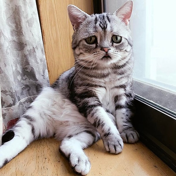 Увы! Вам не удалось пройти этот тест с хорошим результатом.