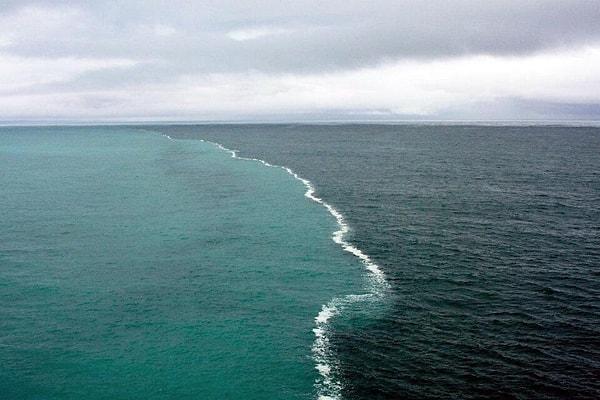 4. Alaska Körfezi'ndeki buzul suları ile kıyı sularının birbirine kavuştuğu nokta.