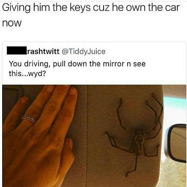 13. Arabanızda sizi bekleyen "küçücük" bir örümcek.