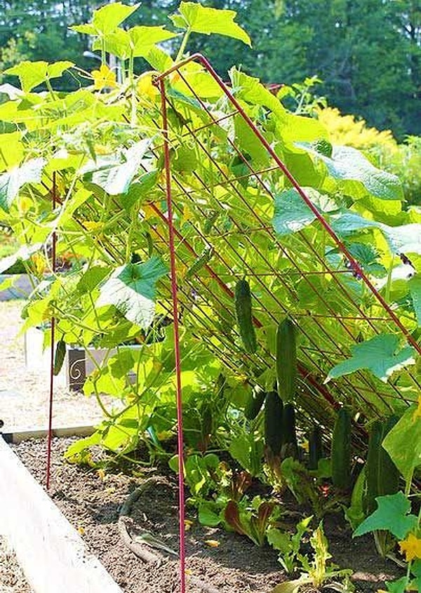 2. Впахивать на грядках