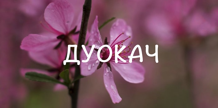 Тест: Если вы наберете в этом тесте 10/10, то ваш мозг работает лучше, чем у 80% населения