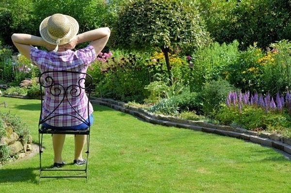 5. То ли дело когда вы гость!