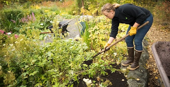 Почему лучшая дача – это чужая дача?