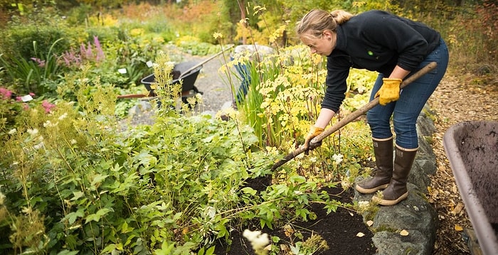 Почему лучшая дача – это чужая дача?