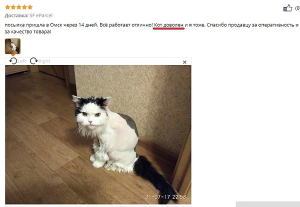 9. Что-то он не выглядит счастливым