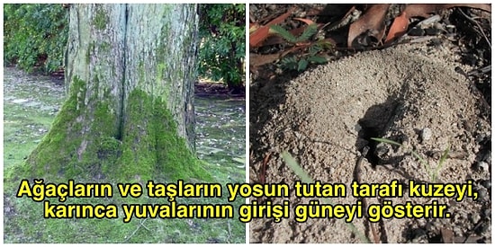 Bunlar Hep Genel Kültür! İlkokulda Öğrendiğimiz ve Aklımıza Mıh Gibi Kazınan 13 Faydalı Bilgi