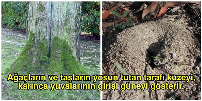 Bunlar Hep Genel Kültür! İlkokulda Öğrendiğimiz ve Aklımıza Mıh Gibi Kazınan 13 Faydalı Bilgi