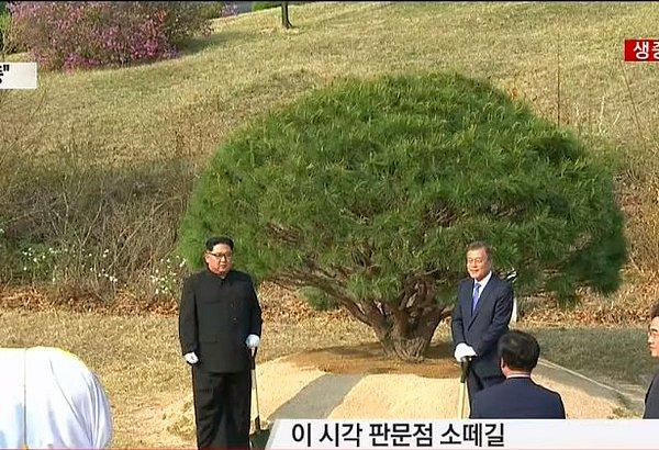 Kim ve Moon öğleden sonra 'barış ve refahın' sembolik temsili için her iki ülkeden getirilen toprak ve suyla çam fidanı dikti