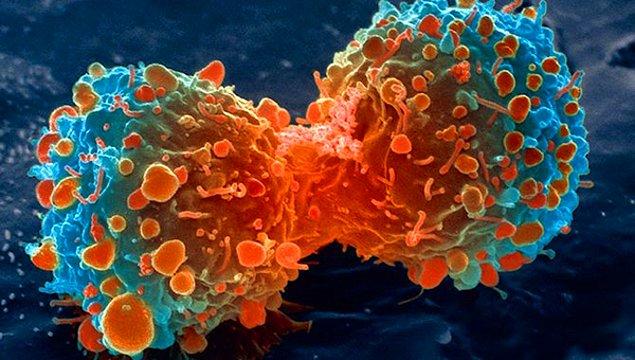 Hücrelerin kontrolsüz olarak çoğalması sonucu gelişen ve ölüme sebebiyet verebilen kanser hiç şüphesiz ki çağımızın hastalığı…