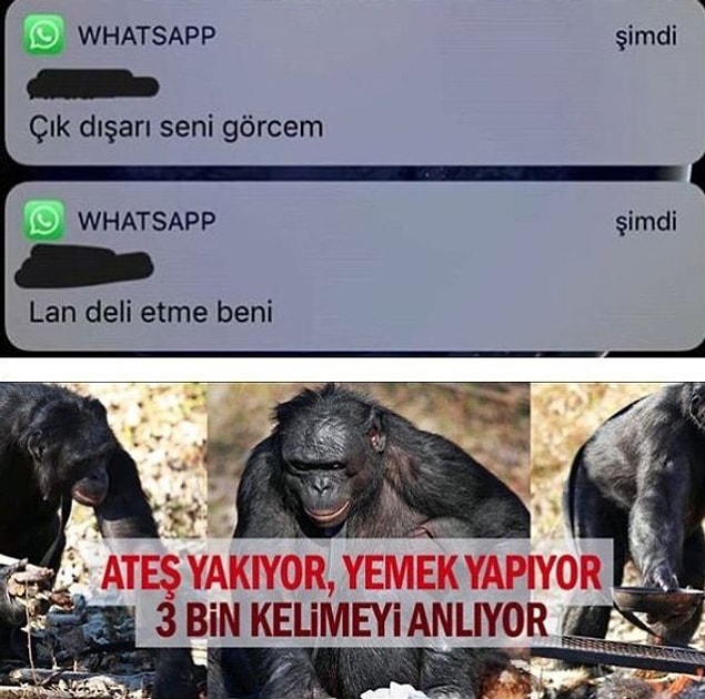 3. Bi de kapı önüne geliyor. :)