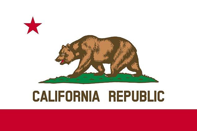 8. Kaliforniya bayrağındaki boz ayının nesli Kaliforniya’da tükeneli 100 yıldan fazla oldu.