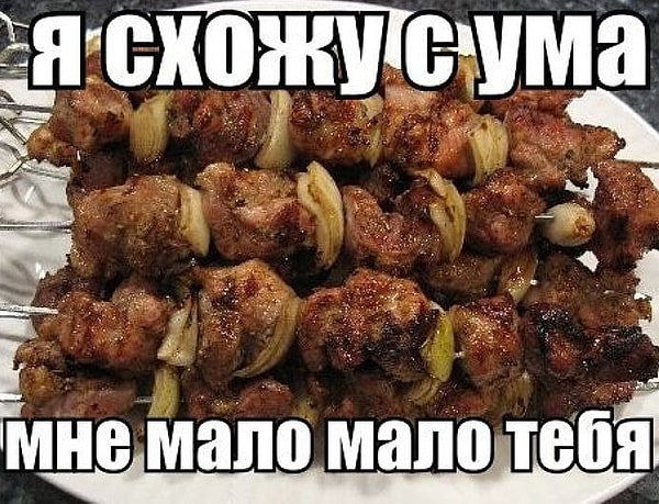 7. Ведь все мы знаем, что ради шашлыка можно пойти на все