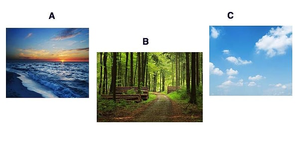 3. Посмотрите на эти пейзажи. Какой из них ассоциируется у вас со спокойствием?