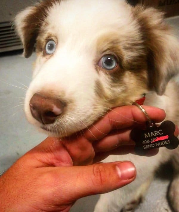 5. Пикап мастер