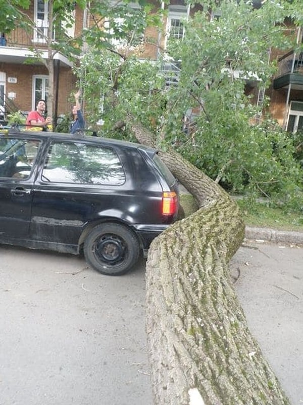 1. Фотодоказательство того, что хорошая парковка решает все