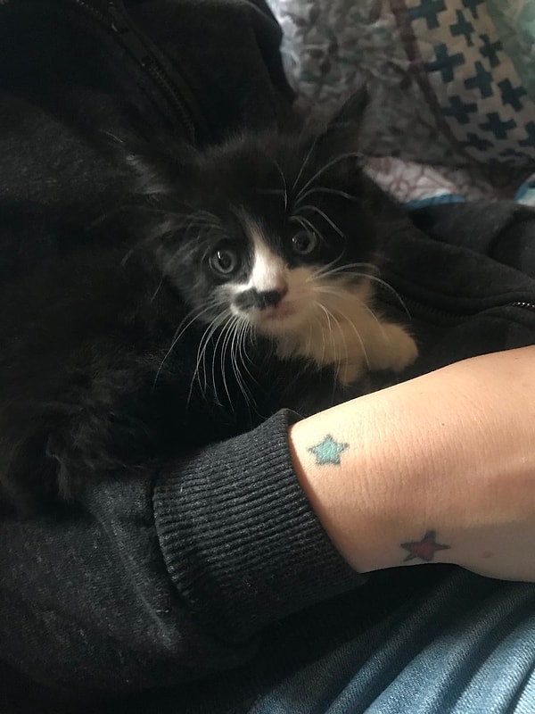 9. В потолке в комнате девушки образовалась дыра, и оттуда выпал котенок