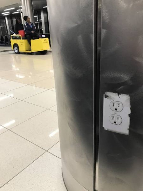 3. Покатай меня, большая черепаха!