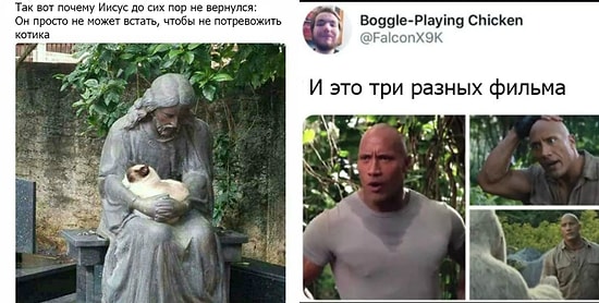 12 фото, настолько смешных, что невозможно поверить, что они не постановочные