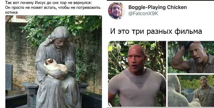 12 фото, настолько смешных, что невозможно поверить, что они не постановочные