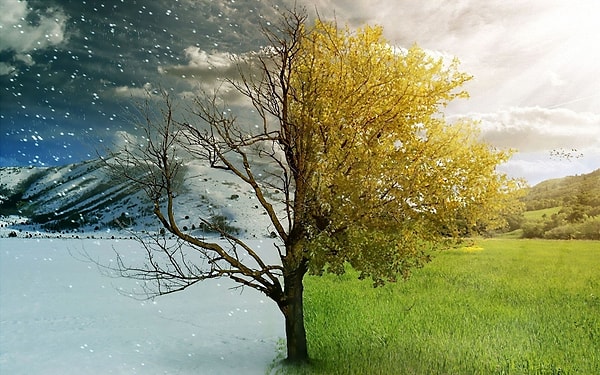 1. Выберите своё любимое время года: