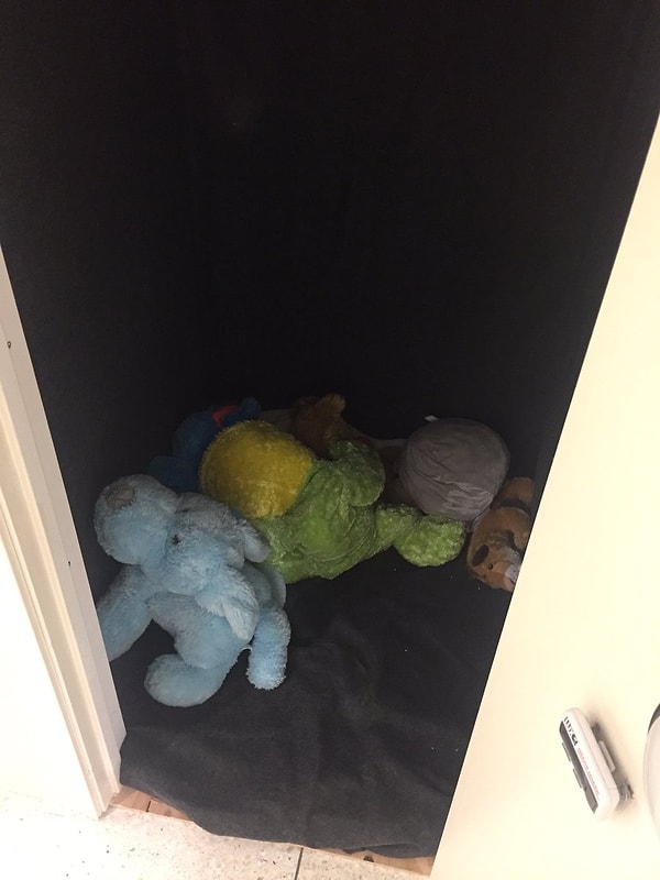 10. В одном американском университете установили шкаф для плача с мягкими игрушками