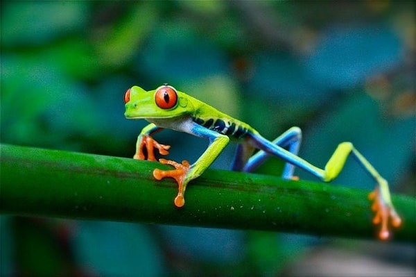 5. Вы знаете, что делать: