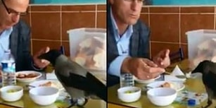 Masasına Konan Kargayla Yemeğini Paylaşan Güzel İnsan