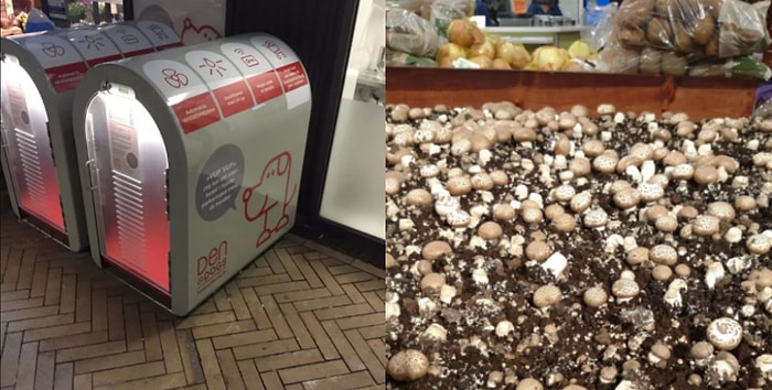 16 магазинов, которые будто бы переместились в 2018-й из будущего