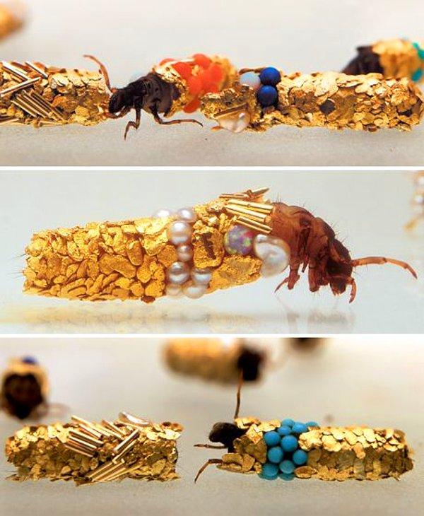 17. BONUS: Fransız sanatçı Hubert Duprat, 2015 yılında yaptığı bir sergi için şayak sineklerini ve larvalarını doğal ortamından alıp etraftaki malzemeleri çeşitlendirince ortaya bu renkli görüntü ortaya çıktı.