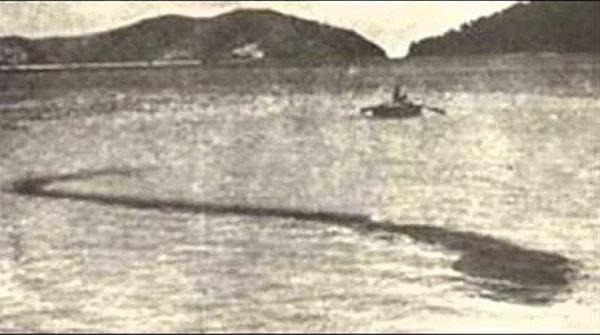 7. 1924 yılında Hook adası açıklarında çekilen bu fotoğrafta devasa bir deniz canlısı görülüyor. Canlının ne olduğuna dair sır aydınlatılamasa da fotoğrafı çeken Robert Le Serrec çok saldırgan olduğunu söylemişti.