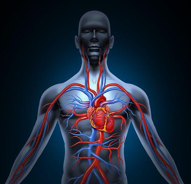 3. Kalp hastalıklarının engellenmesi