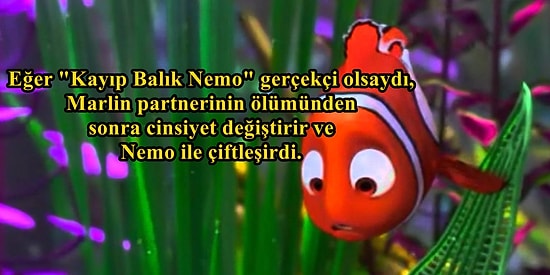 Öğrendikten Sonra Uzun Süre Kendinize Gelemeyeceksiniz! Tüylerinizi Ürpertecek 22 Garip Bilgi